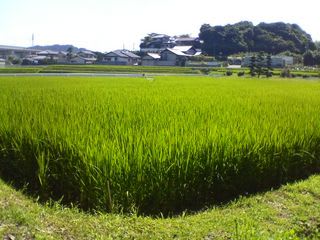 心地よい秋風を感じながら…
