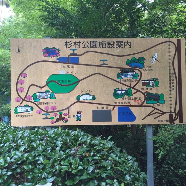 杉村公園 ぱんとちわわとラン生活 ガンバ大阪