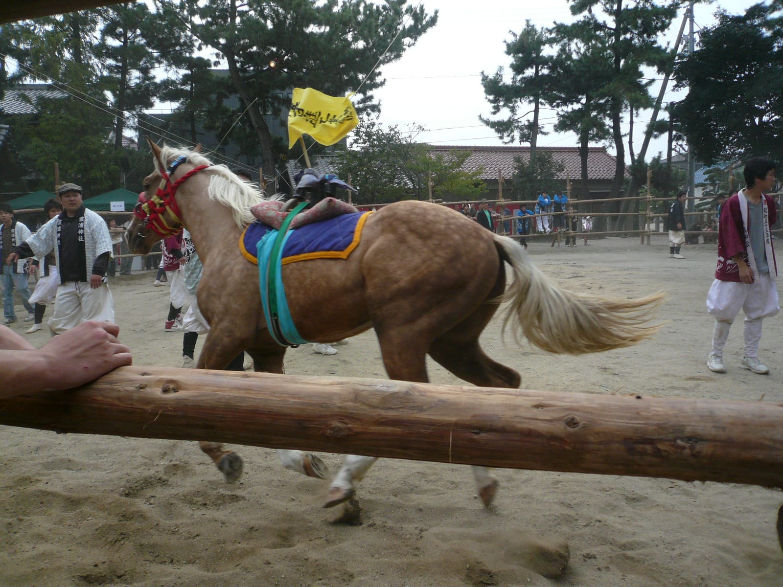 わが町のお祭りでしたの画像