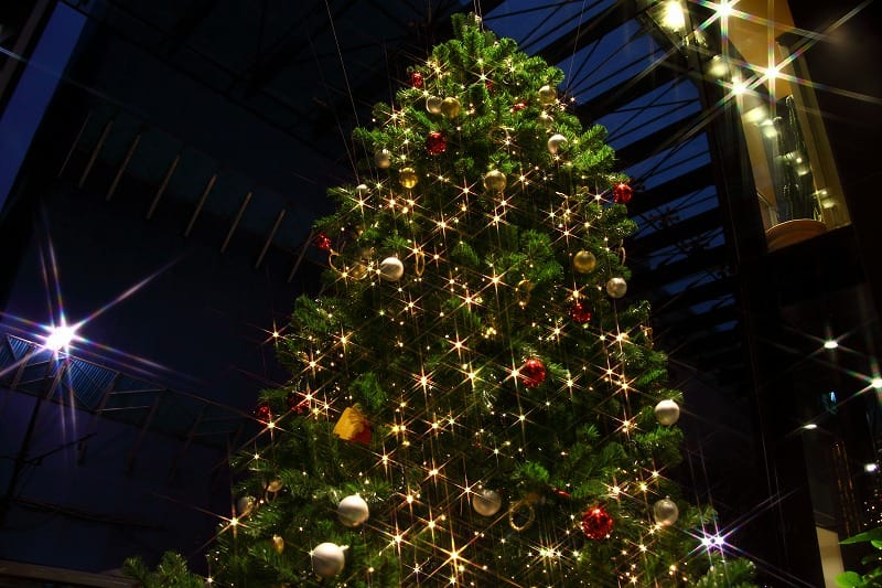 Merry Christmas 香林坊ラモーダ アトリオのクリスマスツリー イルミネーション お歳暮とケーキ 金沢から発信のブログ 風景と花と鳥など