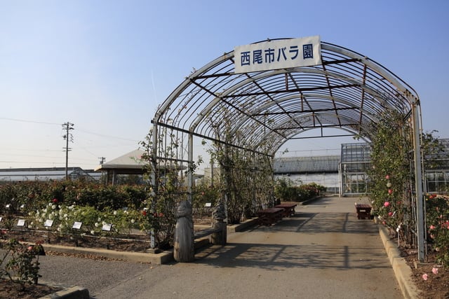 102A63720.JPG