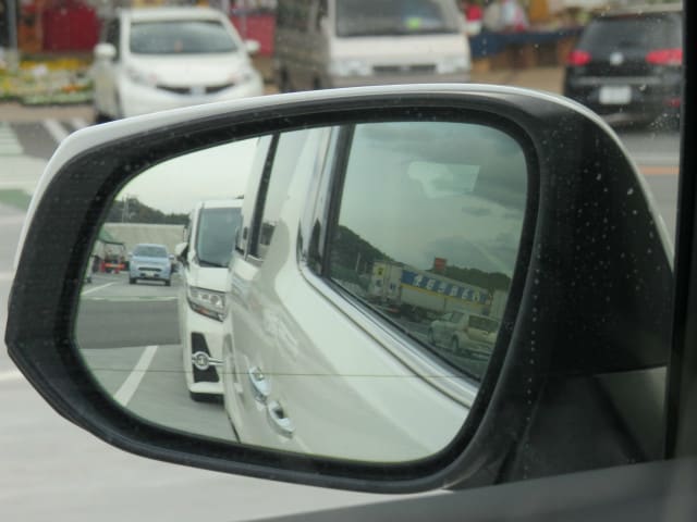 IMG_8540.jpg