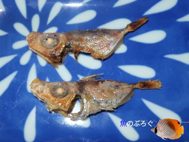 ソコマトウダイの唐揚げ 魚のぶろぐ