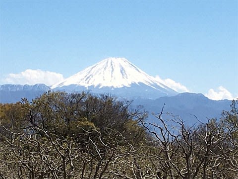 中央高速道路 談合坂サービスエリアの富士山メロンパン 黄昏れたフクロウ 中央高速道路 談合坂サービスエリアの富士山メロンパン 黄昏れたフクロウ