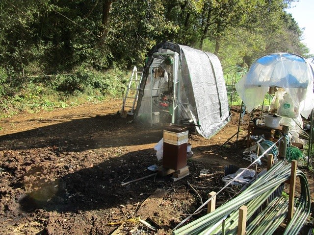 11月1日 道具置場 ハウス リニューアル出来ました ビギナーの家庭菜園