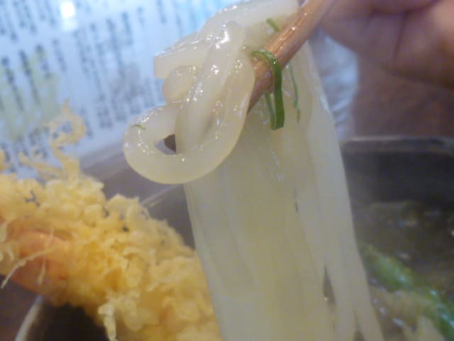 透き通る細うどんは気付けば出汁も飲み干して 百福 堺市堺区 それゆけ ぶんぶん一家 ミ