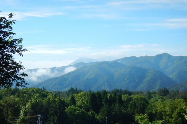 2017-06FU-0223.jpg