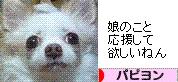 にほんブログ村 犬ブログ パピヨンへ