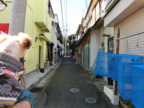 泣くな はらちゃん ロケ地巡り めいのマッシュルーム 泣くな はらちゃん ロケ地巡り めいのマッシュルーム