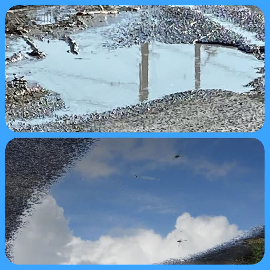 水たまりに映る青空 箕面三中もと校長から 教育関係者のつぶやき 水たまりに映る青空 箕面三中もと校長から 教育関係者のつぶやき