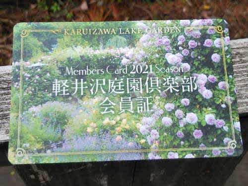 ガーデニング 花 のブログ記事一覧 自転車に乗ろう