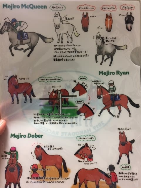 イメージ 9