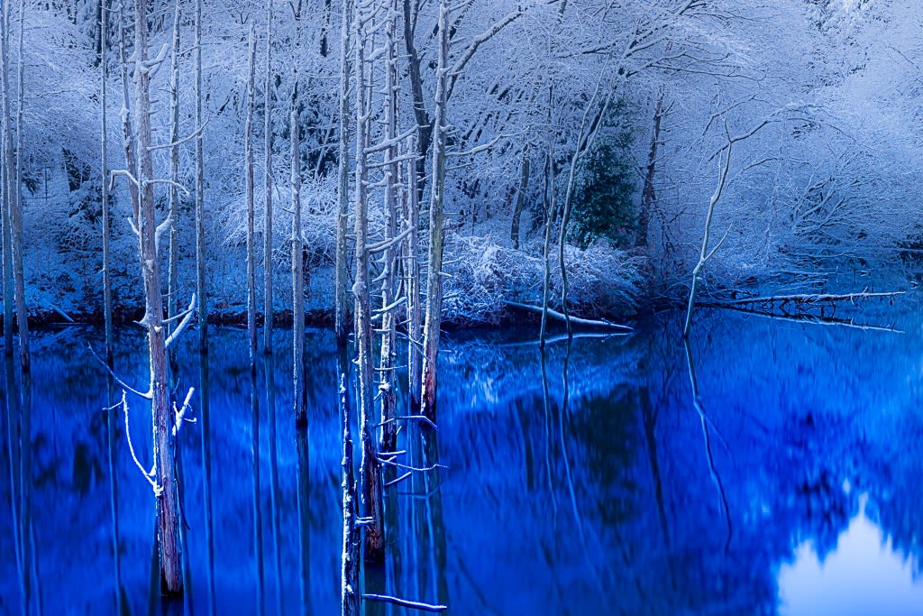 青い池の写真