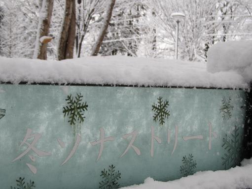 韓流ドラマ 冬のソナタ の景色 学びの森 の四季と 楽しい各務原