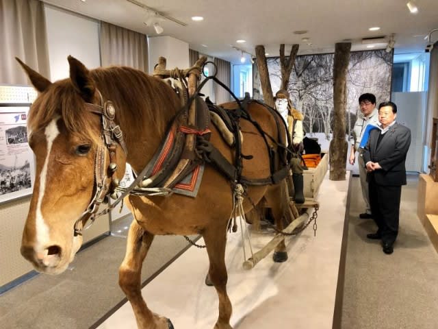 オホーツクミュージアム えさし 高畠考宗館長の案内で枝幸の自然 オホーツクの歴史 枝幸のあゆみを教えていただきました オホーツク地域の太古からの自然と歴史がわかりやすく展示されています 佐藤英道 日々奔走 オホーツクミュージアム えさし 高畠考宗館長の案内で枝幸の自然 オホーツクの歴史 枝幸のあゆみを教えていただきました オホーツク地域の太古からの自然と歴史がわかりやすく展示されています 佐藤英道 日々奔走