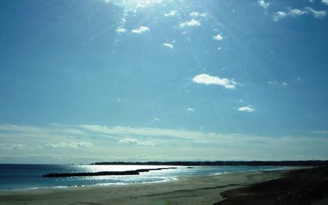 初冬の陽射しのまぶしい国府白浜の海景 ～ 昨年末（12月29日）に撮影
