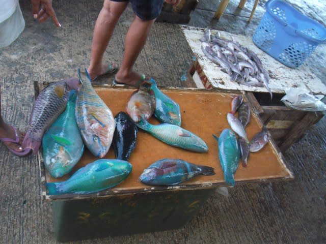 魚売り フィリピン Tomtom Tribune