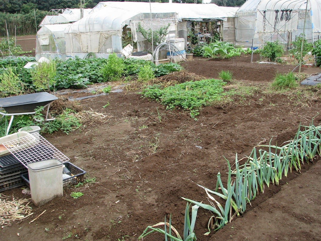 クリックで大きくなります。
