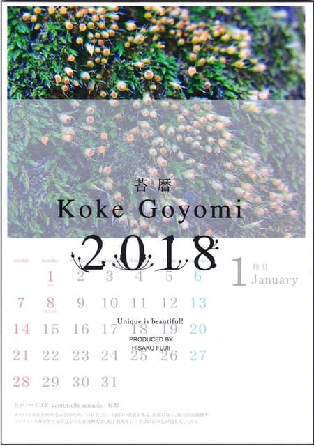 お知らせ コケ好きのためのカレンダー 苔暦2018 ができました