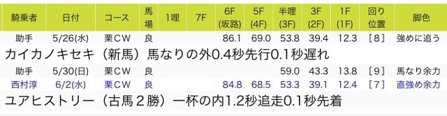 やれる漢 麦わら海賊版が往く