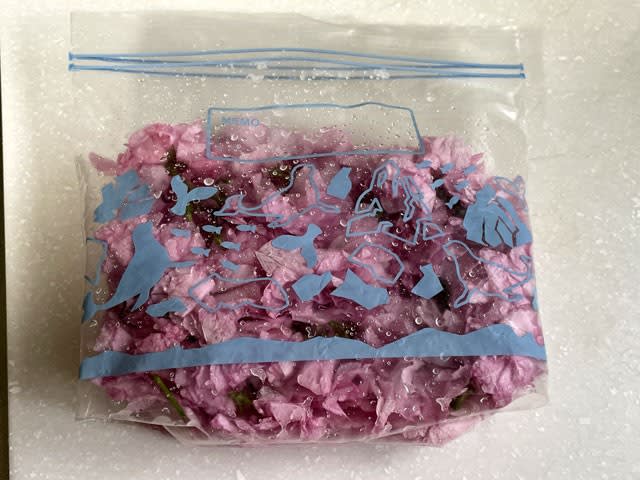 八重桜の花の塩漬け