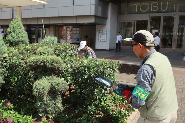 10 2 環境の緑化と美化報告 引き続きシャリンバイ剪定 池袋の地域通貨 アイポイント は 社会貢献活動を頑張った方々の活動の証