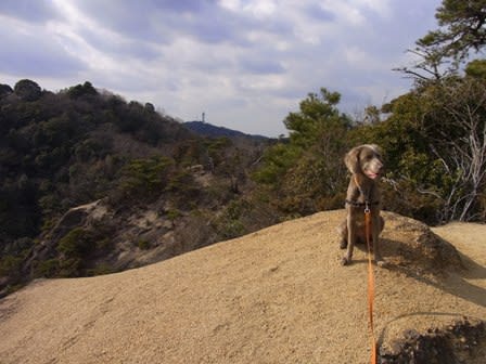 ⑨また景色を眺める