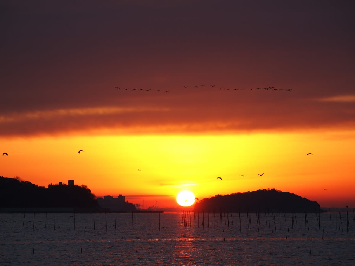 今朝の海辺からの画像