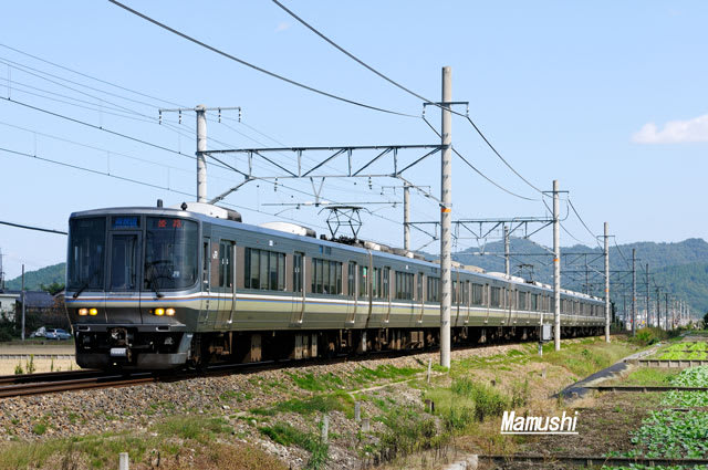 ２２３系１０００番台トップナンバー Ｗ１編成を撮る - 鉄ある記