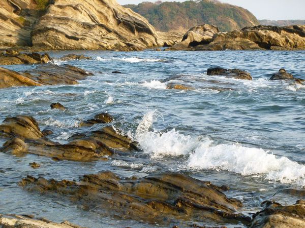 10月の荒崎海岸へ その2 Patrichia S Walking And Driving とか