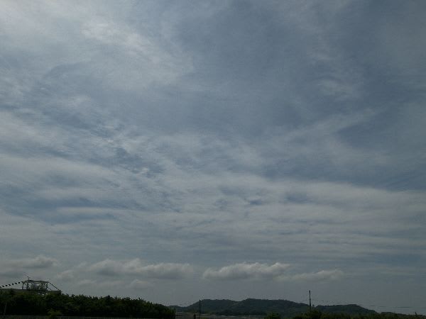 120613100_9790 120613100_9790