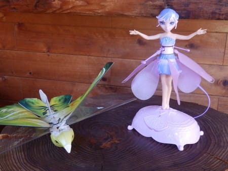 空飛ぶ人形 マウンテンドームアドベンチャー 白ヒゲおやじのエッセイ 空飛ぶ人形 マウンテンドームアドベンチャー 白ヒゲおやじのエッセイ