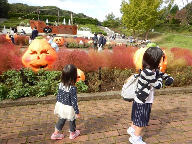 山夢 番外編 育ジイ 森林公園へ行ってきました 四季 山夢