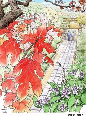 北鎌倉 東慶寺 おさんぽスケッチ にじいろアトリエ 水彩 色鉛筆イラスト スケッチ 北鎌倉 東慶寺 おさんぽスケッチ にじいろアトリエ 水彩 色鉛筆イラスト スケッチ