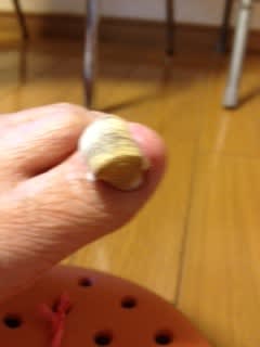 Photo_2 Photo_2