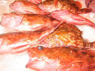 赤魚の美味しい食べ方 シャコエビが美味しい 春