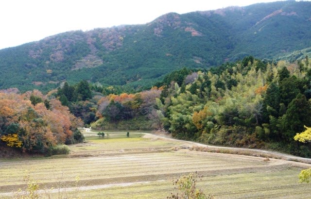 晩秋から初冬へと移り変わりゆく自然の風景 ~ 伊勢市神薗町 晩秋から初冬へと移り変わりゆく自然の風景 ~ 伊勢市神薗町
