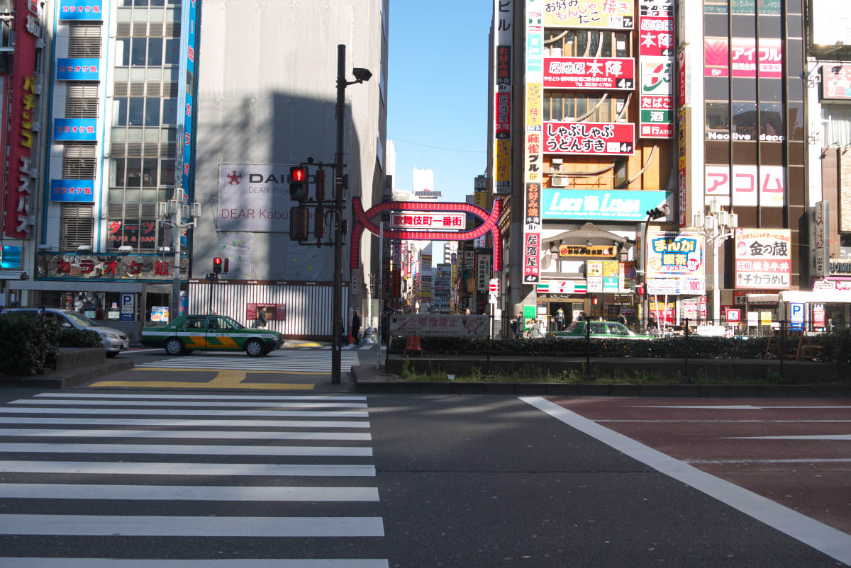 厳冬の新宿東口 伊勢丹会館前を通り抜けて新宿通りへ part1 緑には 東京しかない 厳冬の新宿東口 伊勢丹会館前を通り抜けて新宿通りへ part1 緑には 東京しかない