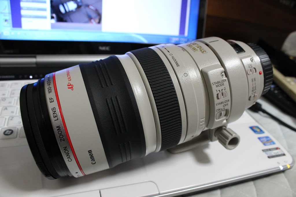 Canon EFレンズ EF100-400mm F4.5-5.6L IS USM ズームレンズ 望遠 - EOS DIGITAL はじめました