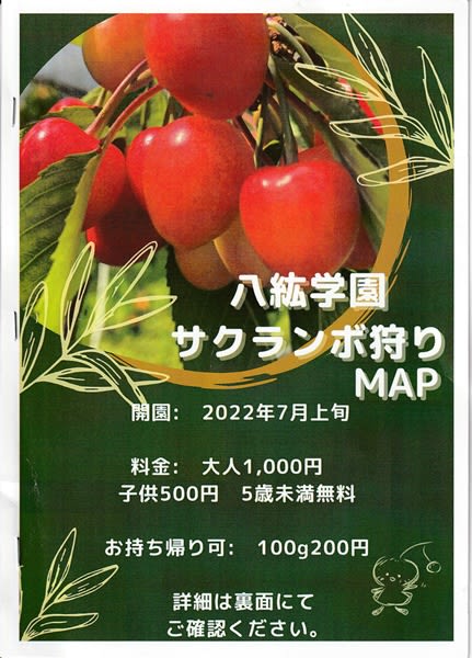 サクランボ狩り２０２２〜八紘学園果樹園〜 - 札幌・円山生活日記