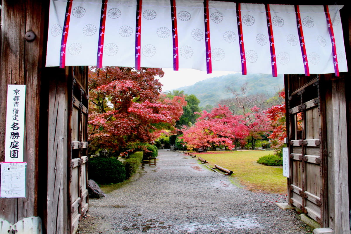 京都の秋を訪ねて 3 勧修寺 かじゅうじ 庭園の不断桜と紅葉 自然を求めて近辺ぶらり