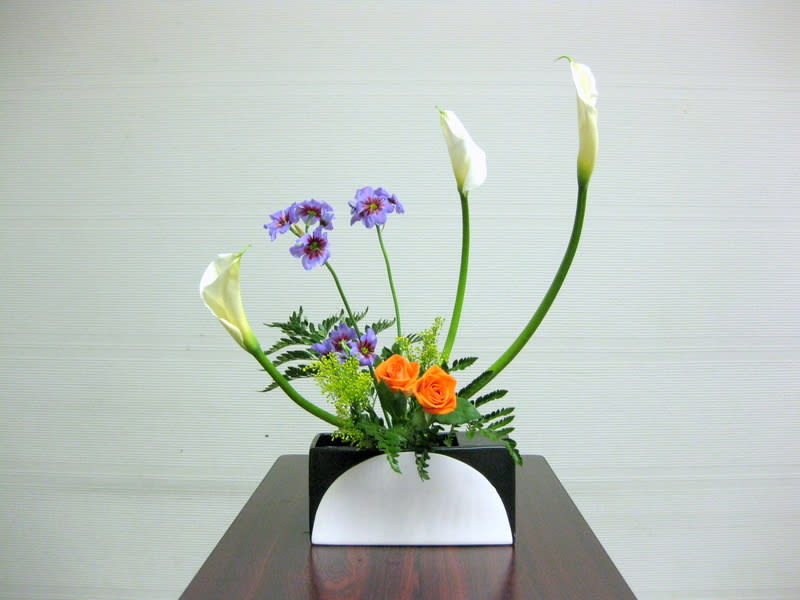 白 カラー の花に ワイヤーを通して 曲線を 自由花 池坊 花のあけちゃんブログ明田眞子 花の力は素晴らしい 広島で４０年 池坊いけばな 教室 熱心な方々と楽しく生けてます