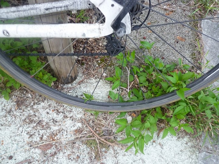 パンクに強い自転車 秋田