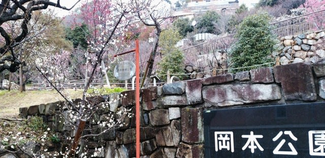 トウジ