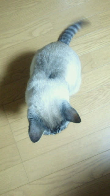 2012070323090000.jpg