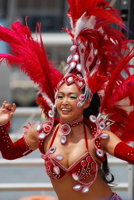 Dsc_0240 Dsc_0240