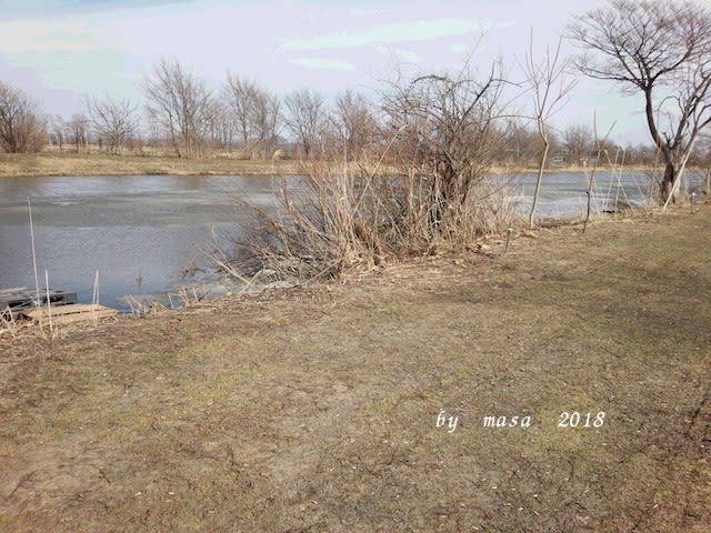 DSC_0472.jpg