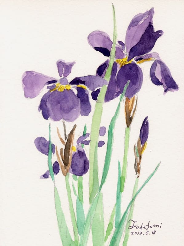 絵画「あやめ摘む」　水彩画 絵画「あやめ摘む」 水彩画