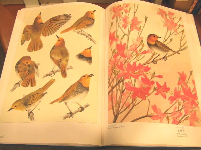 お気に入りその～日本鳥類写生大図譜   鬼平や竹鶴～私のお気に入り～