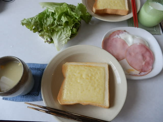 11月15日 家ご飯 ちくわ納豆天ぷら 食べるん大好き